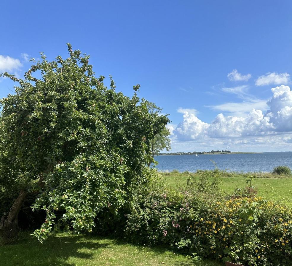 Strandhuset Vollerup Екстериор снимка